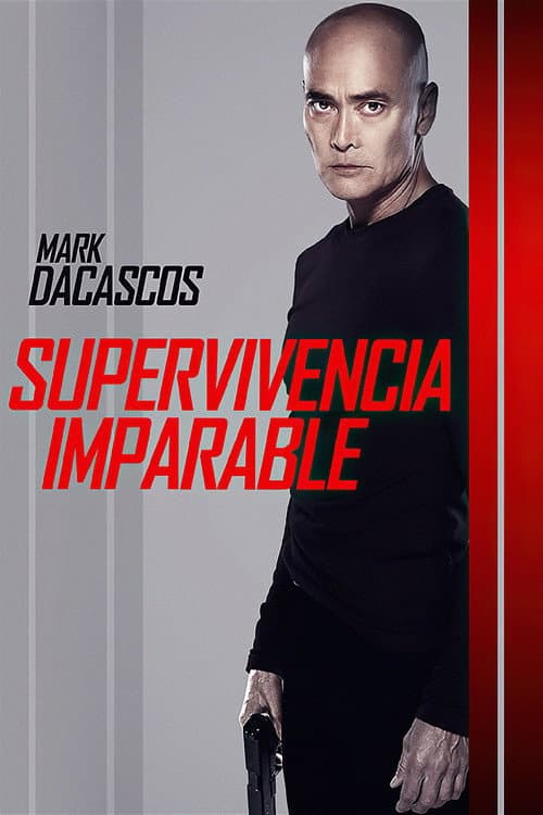 Póster de The Driver