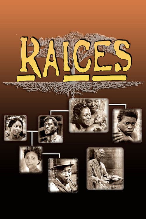 Póster de Raíces
